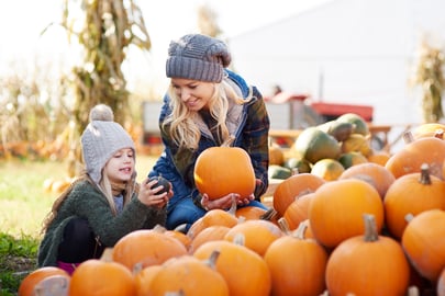 Fall Pumpkin Picking with Kid